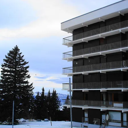 Apartment Studio Cabine 4 Pers. Animaux Admis